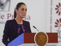 Claudia Sheinbaum Pardo, President of Mexico, speaks during a briefing conference about the energy reforms at the National Palace in Mexico...