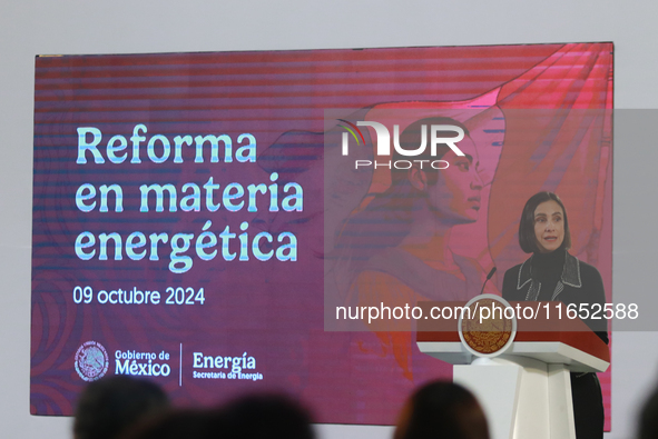 Luz Elena Gonzalez, Secretary of Energy, speaks during a briefing conference about the energy reforms at the National Palace in Mexico City,...