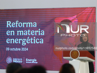 Luz Elena Gonzalez, Secretary of Energy, speaks during a briefing conference about the energy reforms at the National Palace in Mexico City,...