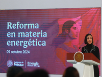 Luz Elena Gonzalez, Secretary of Energy, speaks during a briefing conference about the energy reforms at the National Palace in Mexico City,...