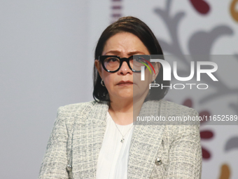 Emilia Calleja Alor, General Director of the Federal Energy Commission, speaks during a briefing conference about the energy reforms at the...