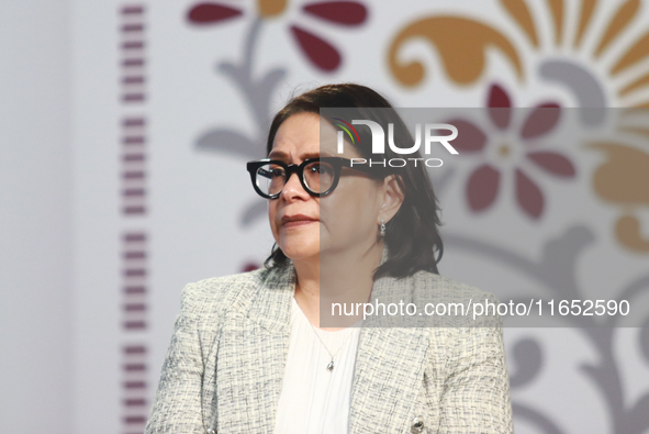 Emilia Calleja Alor, General Director of the Federal Energy Commission, speaks during a briefing conference about the energy reforms at the...