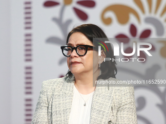 Emilia Calleja Alor, General Director of the Federal Energy Commission, speaks during a briefing conference about the energy reforms at the...