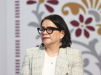 Emilia Calleja Alor, General Director of the Federal Energy Commission, speaks during a briefing conference about the energy reforms at the...