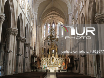 The Basilica of Lujan welcomes thousands of faithful from around the world who come to ask for or thank the Patroness of Argentina in Lujan,...