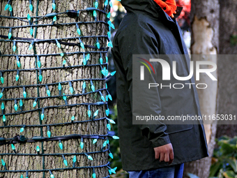 An employee of Classic Displays, based in Mississauga, watches a fellow employee attach holiday lights to a tree in Gage Park in downtown Br...