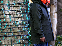 An employee of Classic Displays, based in Mississauga, watches a fellow employee attach holiday lights to a tree in Gage Park in downtown Br...