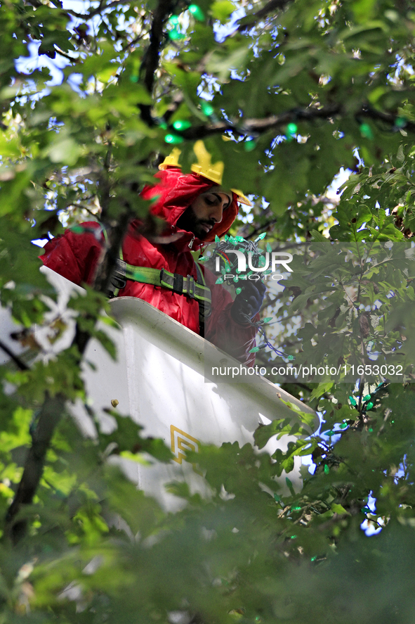 An employee of Classic Displays, based in Mississauga, attaches holiday lights to a tree in Gage Park in downtown Brampton, Ontario, Canada,...