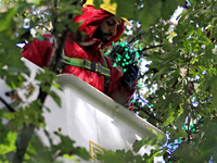 An employee of Classic Displays, based in Mississauga, attaches holiday lights to a tree in Gage Park in downtown Brampton, Ontario, Canada,...