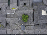 An aerial photo taken in Dujiangyan, China, on October 9, 2024, shows the ancient city complex of Guxian County in Dujiangyan City, Sichuan...