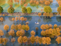 A crab breeding base is located in a fir forest in Suqian, Jiangsu province, China, on October 10, 2024. (