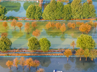 A crab breeding base is located in a fir forest in Suqian, Jiangsu province, China, on October 10, 2024. (