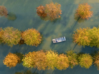 A crab breeding base is located in a fir forest in Suqian, Jiangsu province, China, on October 10, 2024. (