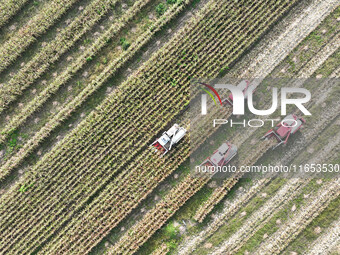 Farmers drive harvesters to harvest mature corn in a soybean and corn strip compound planting field in Suqian, China, on October 10, 2024. (