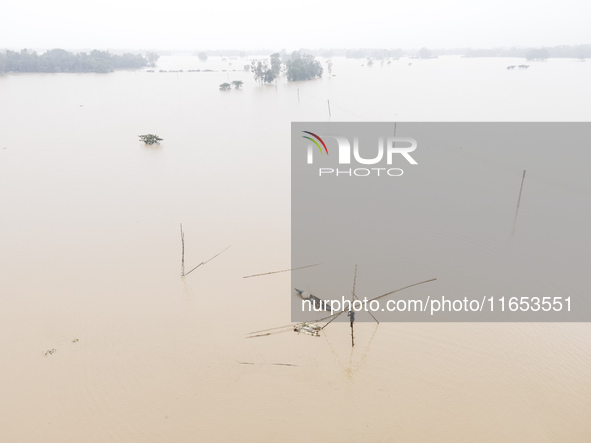 Fishermen create fishing grounds with bamboo and catch various types of fish with nets from the flooded open ghat in Jhenaigati Upazila of S...