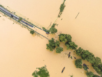 Heavy rains and water from upstream India submerge roads in a village in Jhenaigati upazila of Sherpur district in Sherpur, Bangladesh, on O...