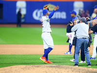 The New York Mets celebrate their 4-1 victory in Game 4 of a baseball NL Division Series against the Philadelphia Phillies at Citi Field in...