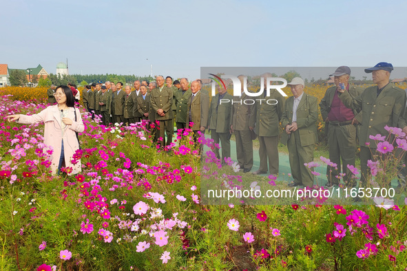 Retired soldiers and teachers visit a scenic spot to celebrate the upcoming Double Ninth Festival in Lianyungang, Jiangsu province, China, o...