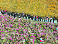 Retired soldiers and teachers visit a scenic spot to celebrate the upcoming Double Ninth Festival in Lianyungang, Jiangsu province, China, o...