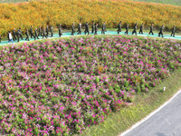 Retired soldiers and teachers visit a scenic spot to celebrate the upcoming Double Ninth Festival in Lianyungang, Jiangsu province, China, o...