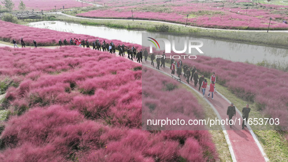 Retired soldiers and teachers visit a scenic spot to celebrate the upcoming Double Ninth Festival in Lianyungang, Jiangsu province, China, o...