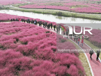 Retired soldiers and teachers visit a scenic spot to celebrate the upcoming Double Ninth Festival in Lianyungang, Jiangsu province, China, o...