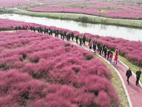 Retired soldiers and teachers visit a scenic spot to celebrate the upcoming Double Ninth Festival in Lianyungang, Jiangsu province, China, o...