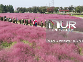 Retired soldiers and teachers visit a scenic spot to celebrate the upcoming Double Ninth Festival in Lianyungang, Jiangsu province, China, o...