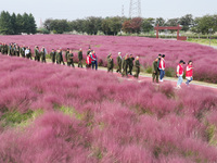 Retired soldiers and teachers visit a scenic spot to celebrate the upcoming Double Ninth Festival in Lianyungang, Jiangsu province, China, o...