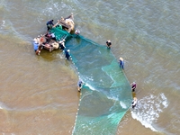 Fishermen cast long nets to catch seafood at the shore of the Yellow Sea in Lingshan Bay, West Coast New District, in Qingdao, China, on Oct...