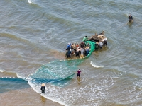 Fishermen cast long nets to catch seafood at the shore of the Yellow Sea in Lingshan Bay, West Coast New District, in Qingdao, China, on Oct...