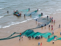 Fishermen cast long nets to catch seafood at the shore of the Yellow Sea in Lingshan Bay, West Coast New District, in Qingdao, China, on Oct...