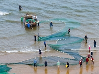 Fishermen cast long nets to catch seafood at the shore of the Yellow Sea in Lingshan Bay, West Coast New District, in Qingdao, China, on Oct...