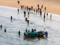 Fishermen cast long nets to catch seafood at the shore of the Yellow Sea in Lingshan Bay, West Coast New District, in Qingdao, China, on Oct...