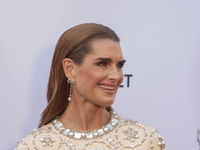 Brooke Shields attends the New York City Ballet 2024 Fall Fashion Gala at David H. Koch Theater at Lincoln Center in New York, New York, USA...