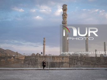 An Iranian woman visits the Persepolis historical site near the city of Shiraz in Fars province, about 932 km (579 miles) south of Tehran, I...