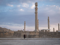 An Iranian woman visits the Persepolis historical site near the city of Shiraz in Fars province, about 932 km (579 miles) south of Tehran, I...