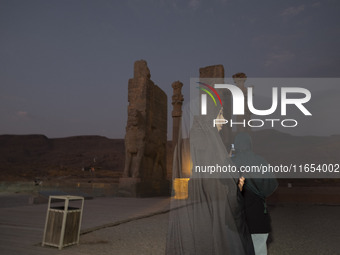 A veiled Iranian woman visits the Persepolis historical site near the city of Shiraz in Fars province, about 932 km (579 miles) south of Teh...