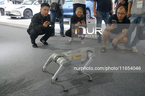 Visitors visit a four-legged robot at the International Consumer Electronics Show in Shanghai, China, on October 10, 2024 