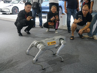 Visitors visit a four-legged robot at the International Consumer Electronics Show in Shanghai, China, on October 10, 2024 (