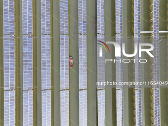 A worker checks photovoltaic equipment at a fishery-solar hybrid base in Suqian, China, on October 10, 2024. (