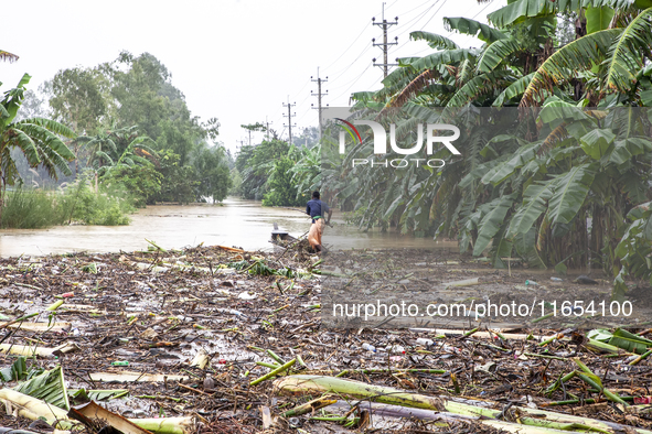 A man collects tree-type items washed away by floodwaters in a village in Jhenaigati upazila of Sherpur district in Sherpur, Bangladesh, on...