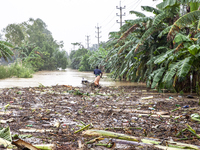 A man collects tree-type items washed away by floodwaters in a village in Jhenaigati upazila of Sherpur district in Sherpur, Bangladesh, on...