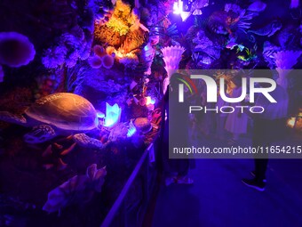 Devotees throng at a community 'puja pandal' themed on 'under the sea' during the Durga Puja festival in the Nagaon district of Assam, India...