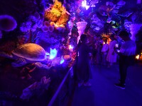 Devotees throng at a community 'puja pandal' themed on 'under the sea' during the Durga Puja festival in the Nagaon district of Assam, India...