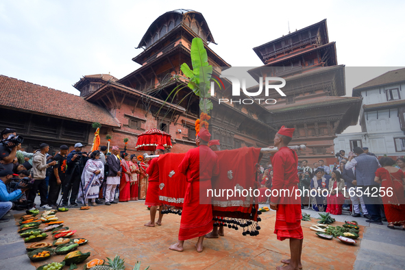 A palanquin containing the Phulpati, an assortment of flowers, leaves, and fruits of different plants considered auspicious and anointed at...