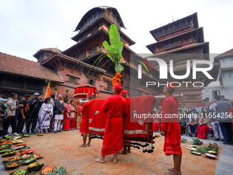 A palanquin containing the Phulpati, an assortment of flowers, leaves, and fruits of different plants considered auspicious and anointed at...