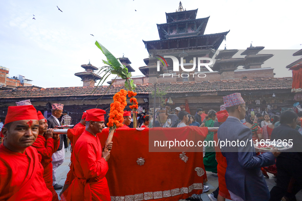 A palanquin containing the Phulpati, an assortment of flowers, leaves, and fruits of different plants considered auspicious and anointed at...