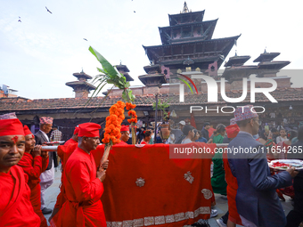 A palanquin containing the Phulpati, an assortment of flowers, leaves, and fruits of different plants considered auspicious and anointed at...