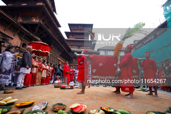 A palanquin containing the Phulpati, an assortment of flowers, leaves, and fruits of different plants considered auspicious and anointed at...